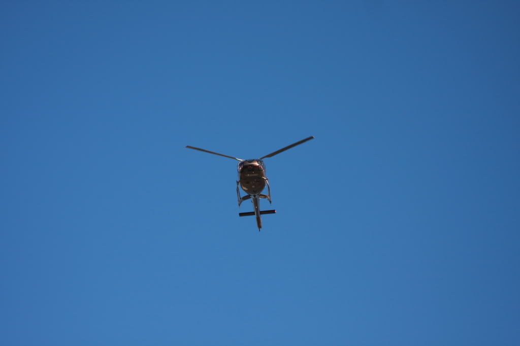 Name:  xdlshow08101.jpg
Views: 37
Size:  23.0 KB