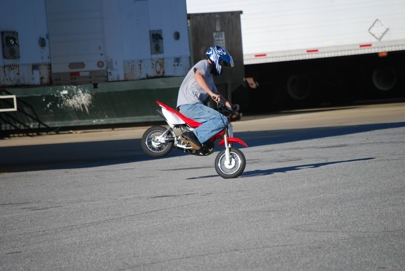 Name:  DSC_0066800x600.jpg
Views: 23
Size:  65.7 KB