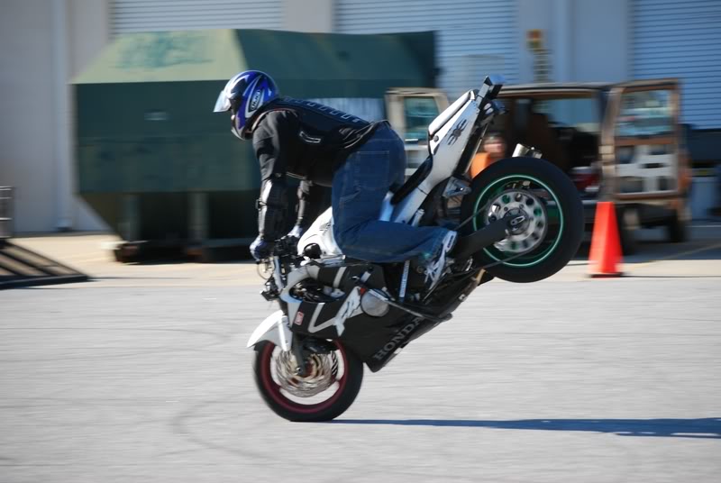 Name:  DSC_0078800x600.jpg
Views: 16
Size:  55.0 KB