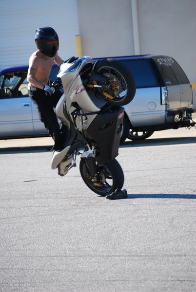 Name:  DSC_0025800x600.jpg
Views: 16
Size:  46.7 KB
