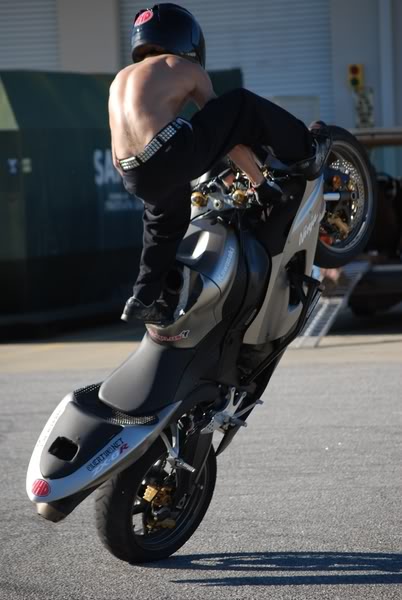 Name:  DSC_0039800x600.jpg
Views: 18
Size:  42.7 KB