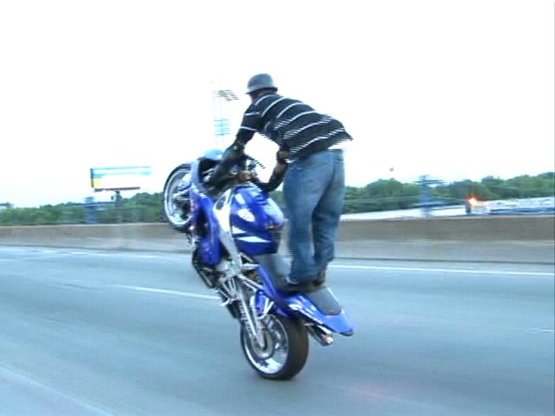 Name:  pita-2.jpg
Views: 509
Size:  41.4 KB