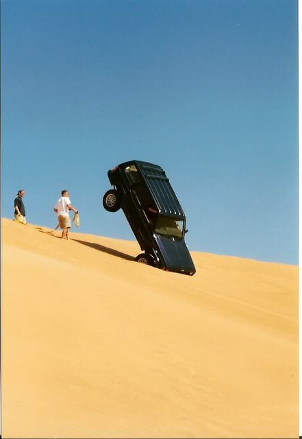 Name:  steviedt1.jpg
Views: 17
Size:  19.0 KB