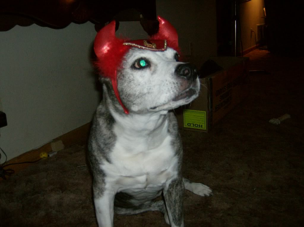 Name:  HPIM5006.jpg
Views: 312
Size:  71.7 KB