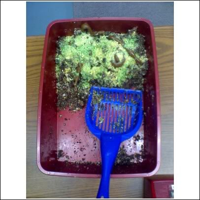 Name:  2.jpg
Views: 8
Size:  33.9 KB