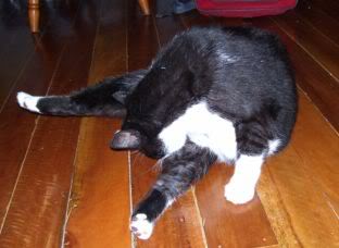 Name:  Copyof100_0349.jpg
Views: 5
Size:  17.3 KB