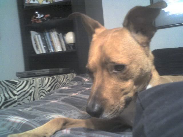 Name:  no190.jpg
Views: 26
Size:  39.7 KB