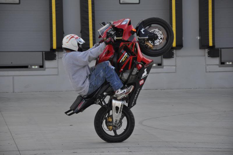 Name:  DFLHalloween08279.jpg
Views: 77
Size:  76.7 KB