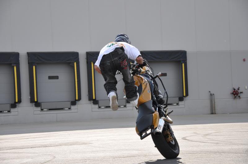 Name:  DFLHalloween08123.jpg
Views: 81
Size:  73.6 KB