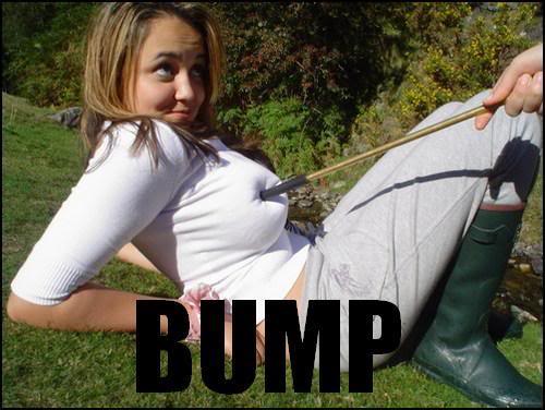 Name:  Bump.jpg
Views: 6
Size:  36.4 KB