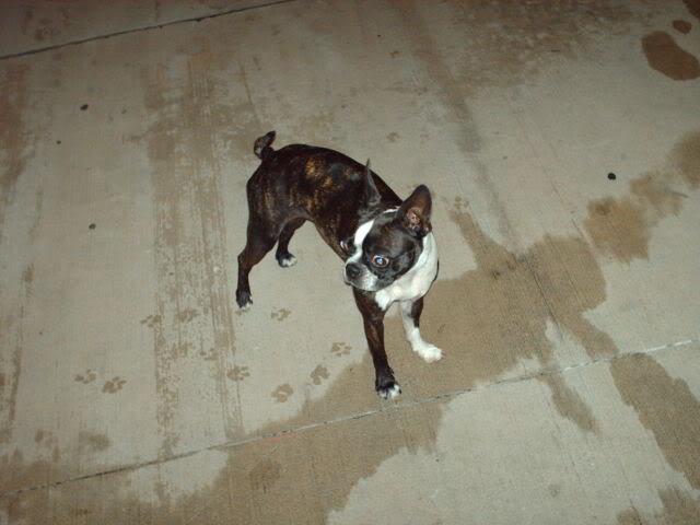 Name:  Oct12Photos009.jpg
Views: 9
Size:  44.3 KB