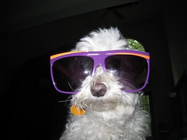 Name:  n1143979609_49208_8598.jpg
Views: 48
Size:  22.3 KB