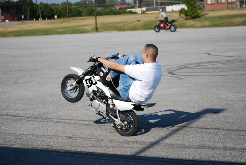 Name:  DSC_0126.jpg
Views: 16
Size:  82.5 KB