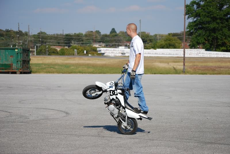 Name:  DSC_0129.jpg
Views: 14
Size:  79.7 KB