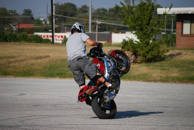 Name:  DSC_0137-2.jpg
Views: 15
Size:  83.8 KB