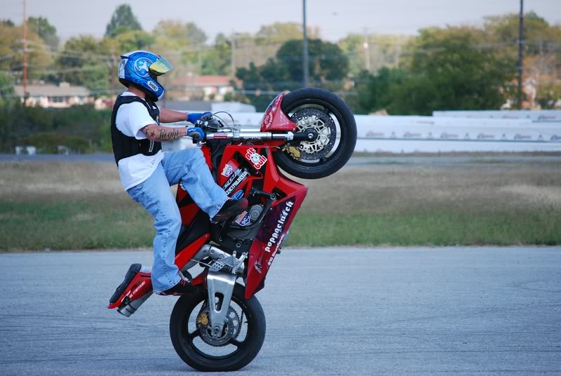 Name:  DSC_0070-1.jpg
Views: 17
Size:  73.9 KB