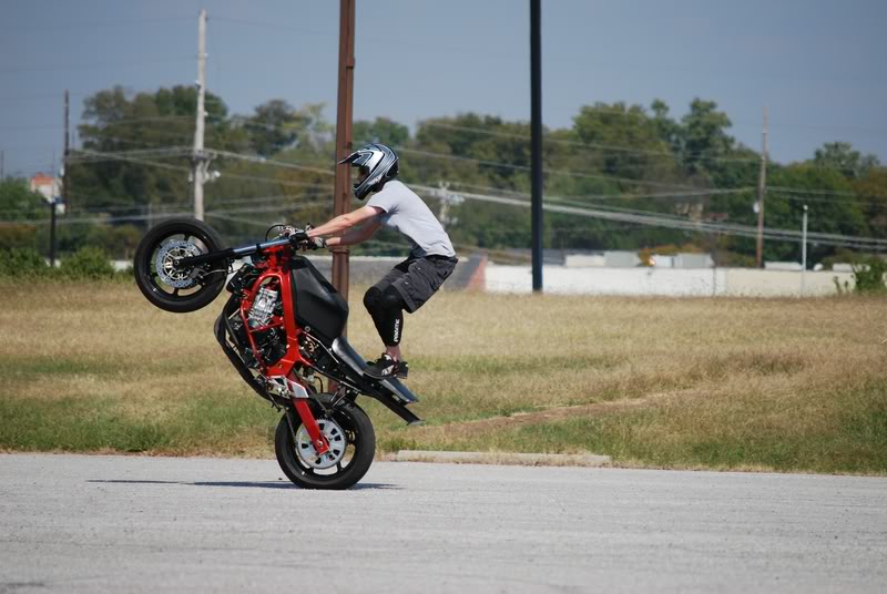 Name:  DSC_0025-2.jpg
Views: 17
Size:  68.7 KB