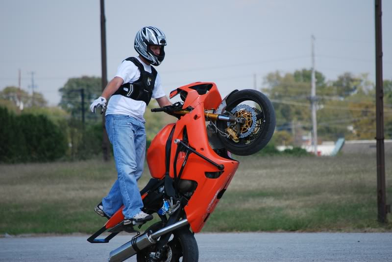 Name:  DSC_0028.jpg
Views: 17
Size:  54.5 KB