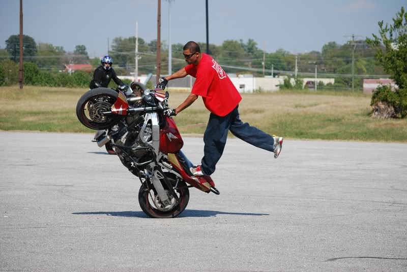 Name:  DSC_0045-2.jpg
Views: 13
Size:  81.4 KB