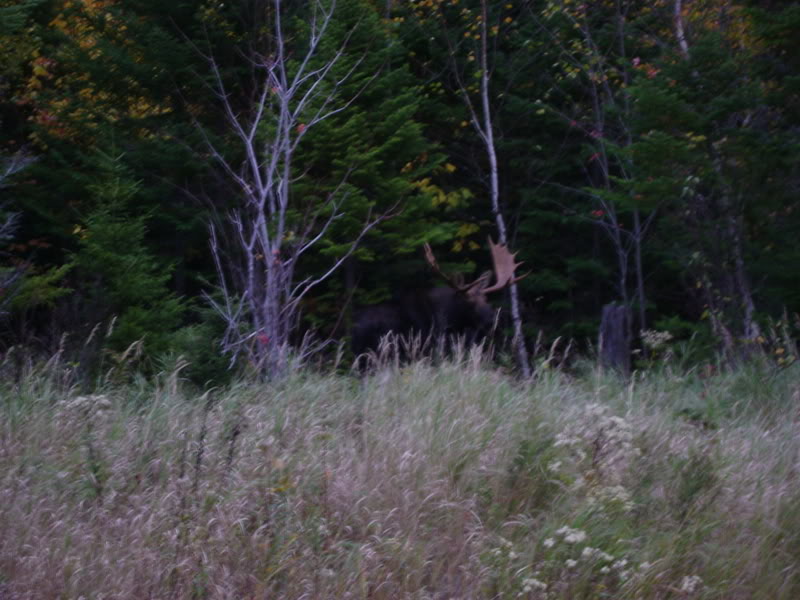 Name:  Picture052.jpg
Views: 8
Size:  98.3 KB