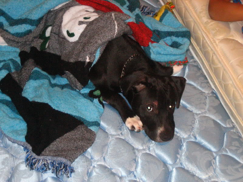 Name:  IMG_1770.jpg
Views: 13
Size:  118.0 KB