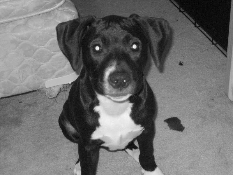 Name:  IMG_1471.jpg
Views: 13
Size:  69.6 KB