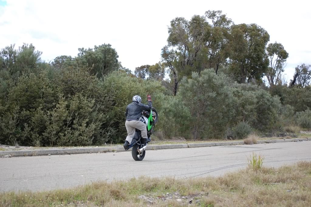 Name:  DSC_0456.jpg
Views: 4
Size:  192.3 KB