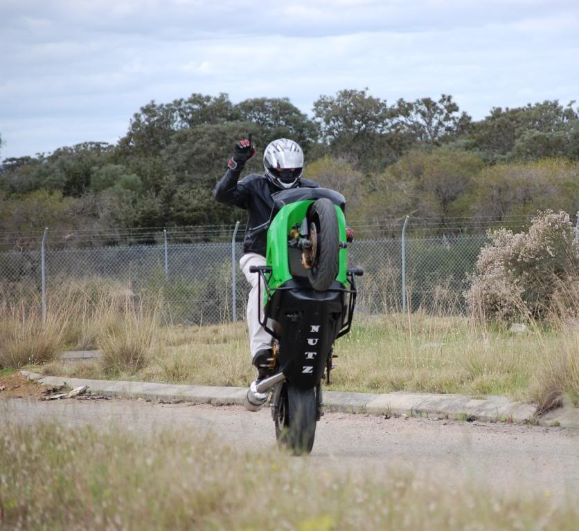 Name:  DSC_0803.jpg
Views: 5
Size:  119.1 KB