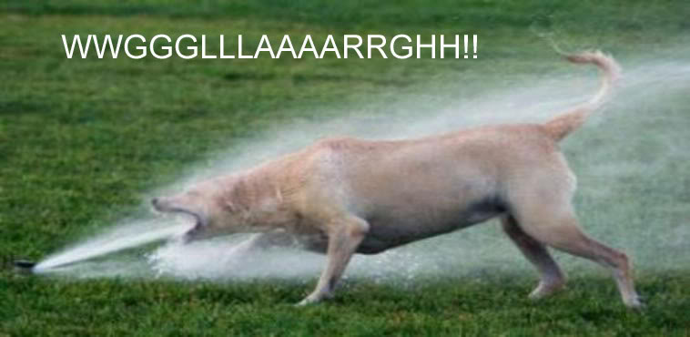 Name:  dog_and_sprinkler.jpg
Views: 12
Size:  38.0 KB