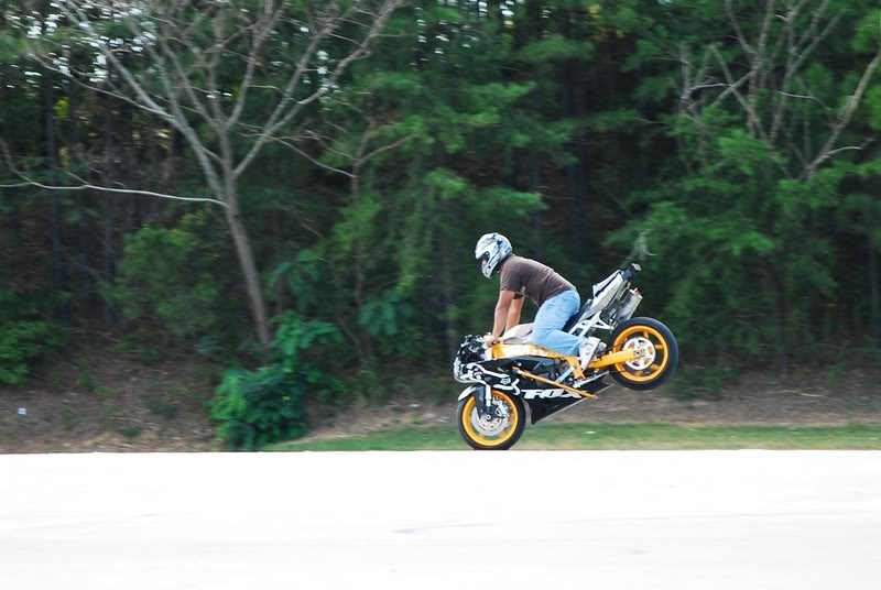 Name:  DSC_0160.jpg
Views: 21
Size:  61.4 KB