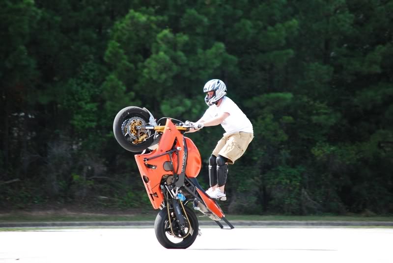 Name:  DSC_0245.jpg
Views: 16
Size:  49.5 KB