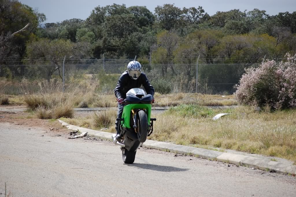 Name:  DSC_0143.jpg
Views: 6
Size:  207.8 KB