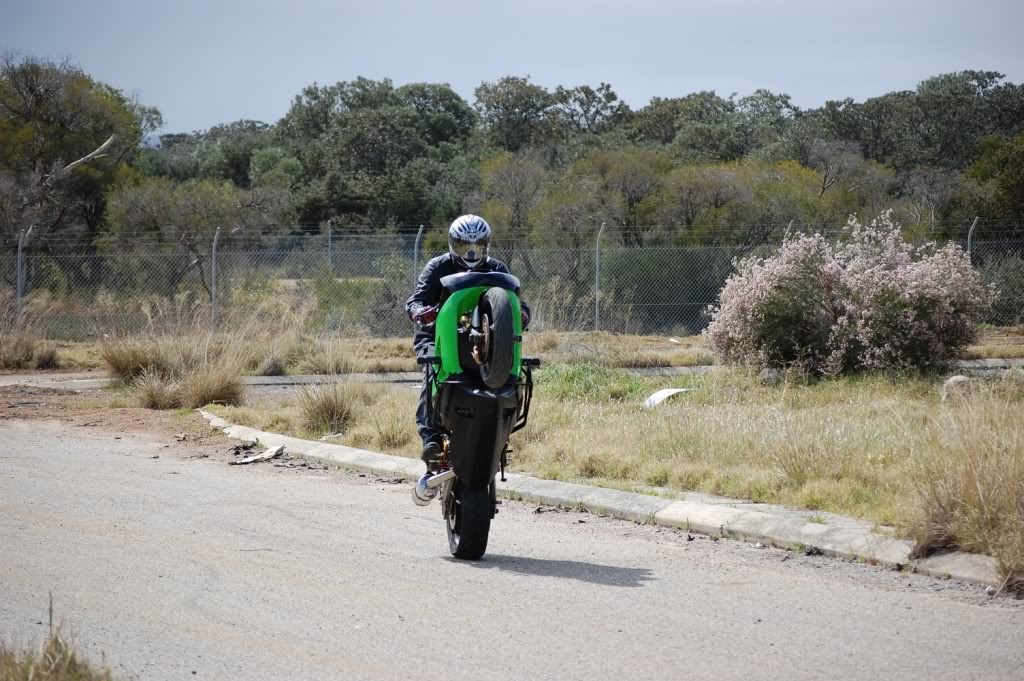 Name:  DSC_0144.jpg
Views: 6
Size:  199.9 KB