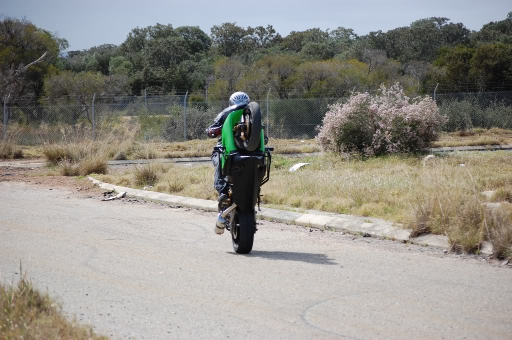 Name:  DSC_0145.jpg
Views: 10
Size:  195.2 KB