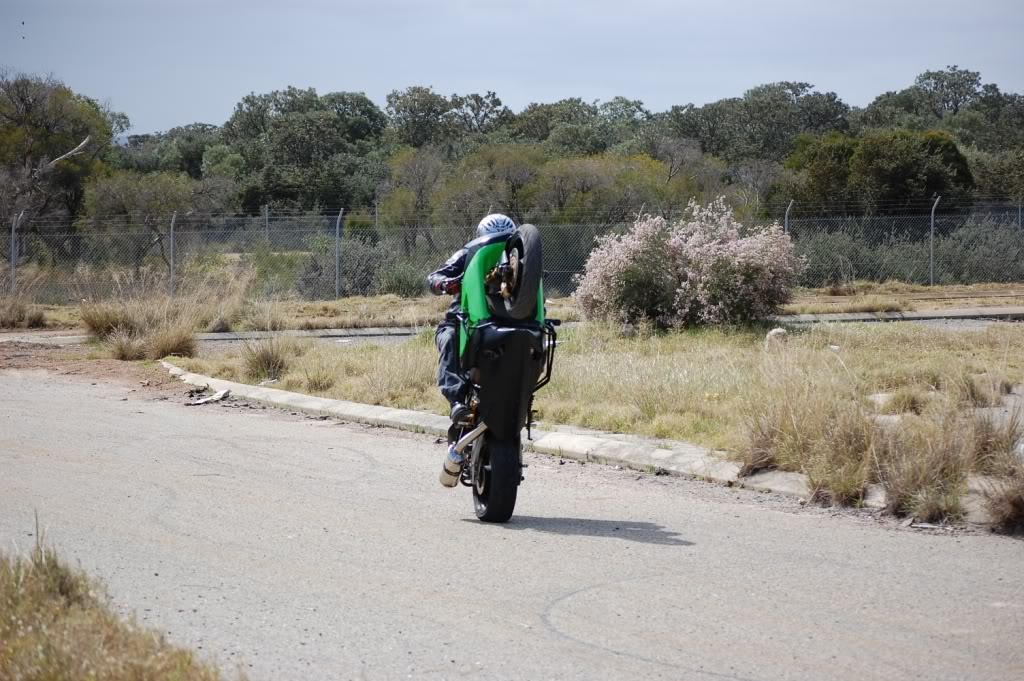 Name:  DSC_0146.jpg
Views: 4
Size:  191.5 KB