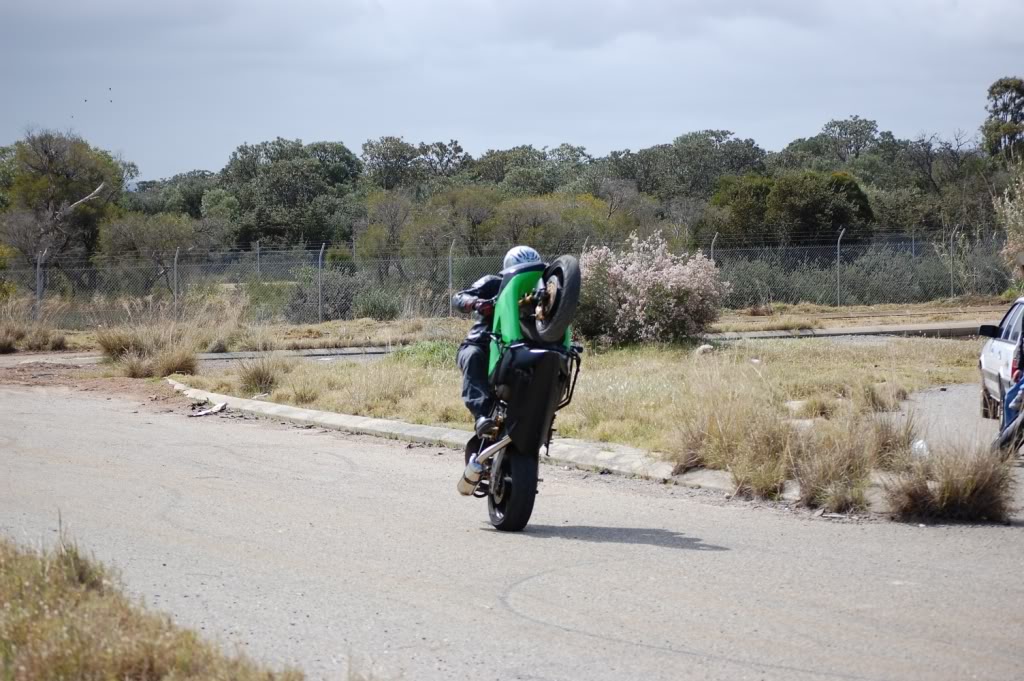 Name:  DSC_0147.jpg
Views: 5
Size:  171.8 KB