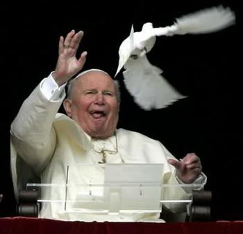 Name:  pope-vs-pigeon.jpg
Views: 14
Size:  14.0 KB