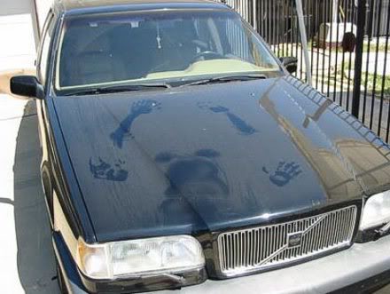 Name:  car-hood.jpg
Views: 47
Size:  29.0 KB