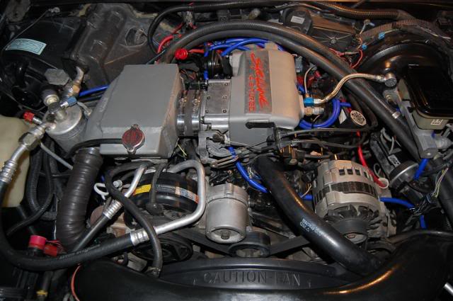 Name:  DSC_0269-1.jpg
Views: 22
Size:  79.8 KB