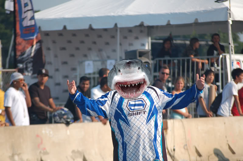 Name:  nags.jpg
Views: 8
Size:  77.0 KB