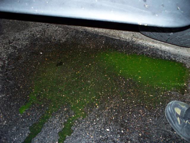 Name:  224.jpg
Views: 14
Size:  56.3 KB