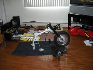 Name:  frame.jpg
Views: 8
Size:  13.8 KB