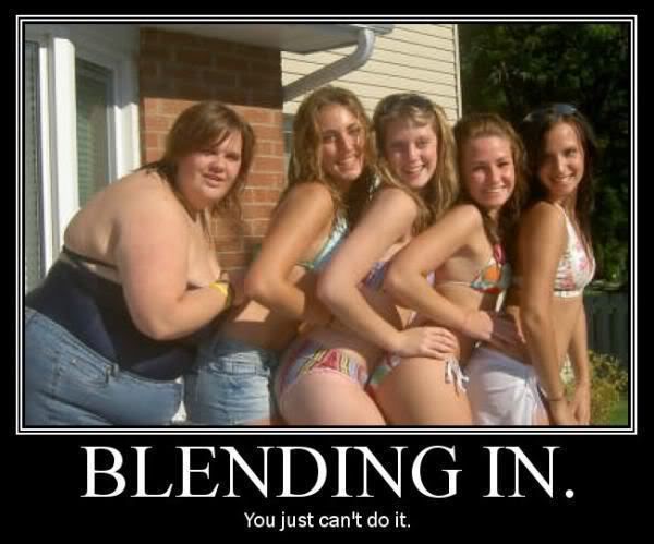 Name:  BlendingIn.jpg
Views: 9
Size:  40.2 KB