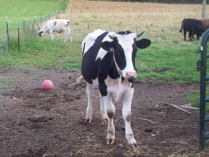 Name:  100_0634.jpg
Views: 4
Size:  95.1 KB