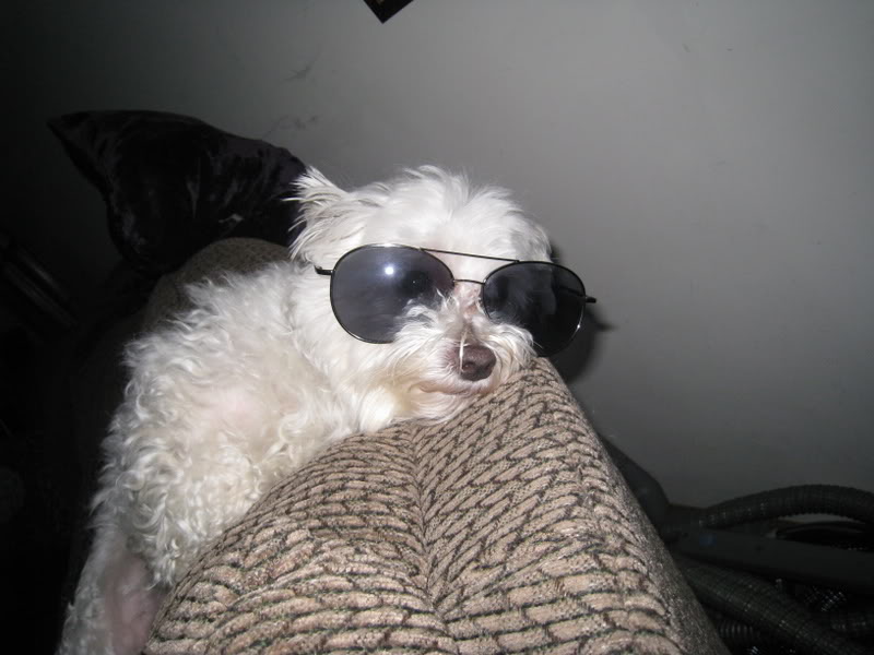 Name:  IMG_0020.jpg
Views: 8
Size:  69.3 KB