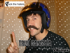Name:  gangstamustach.gif
Views: 13
Size:  72.5 KB