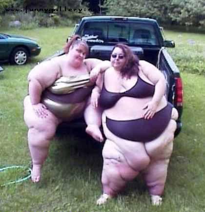 Name:  fatchicks.jpg
Views: 11
Size:  26.7 KB