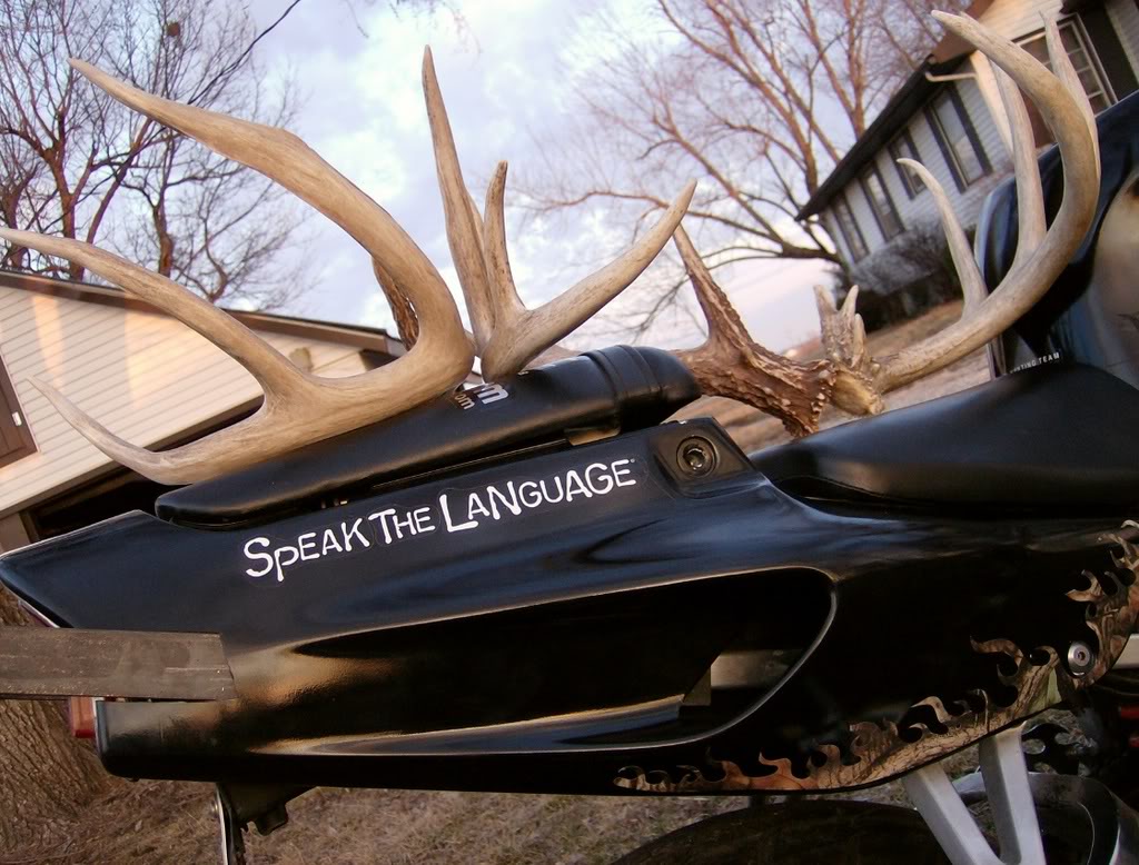 Name:  picture4wilbur22.jpg
Views: 14
Size:  145.4 KB