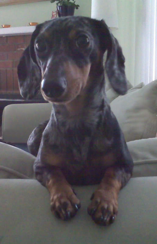 Name:  nathancc.jpg
Views: 6
Size:  46.9 KB