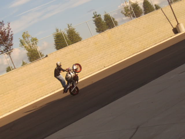 Name:  SANY1770.jpg
Views: 8
Size:  71.1 KB